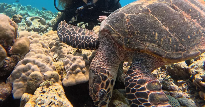Discover Scuba Diving, Maafushi