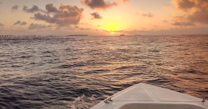 Sunset Dolphin Cruise