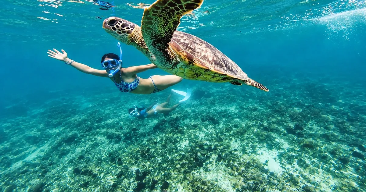 A snorkeler beside a green sea turtle over the reef
