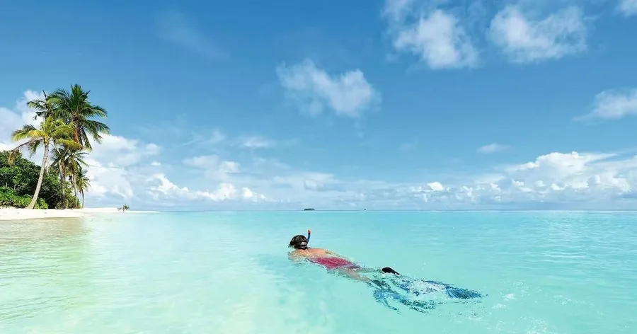 A snorkeler floating face down in shallow turquoise water off a palm-fringed beach