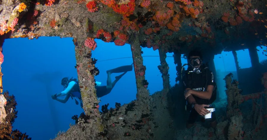 Divers swimming through the coral-covered frame of a shipwreck